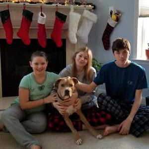 Meet your Posher, Morgan